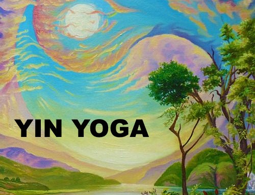 Corso Yin Yoga 2021 – 2022
